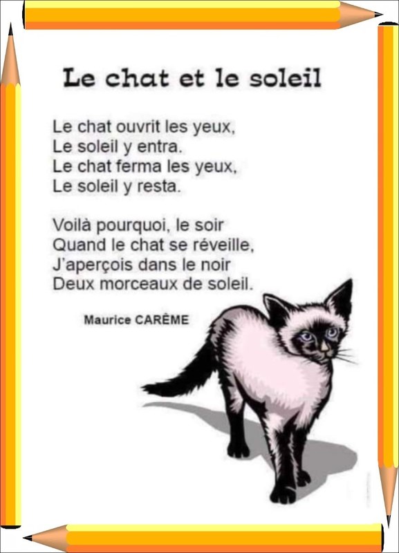 poésie le chat cm2